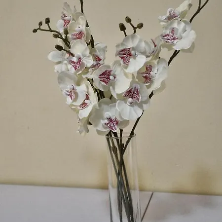 Apartman Le Del Carmine Con Giardino E Parcheggio A