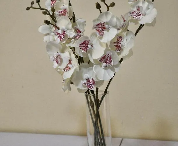 דירה Le Del Carmine Con Giardino E Parcheggio A